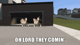 ezgif-5-fe4a9e04e3.gif
