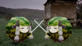 Melon Duel.jpg