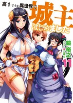 LN Cover Volume 11.jpg