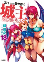 LN Cover Volume 13.jpg