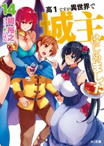 LN Cover Volume 14.jpg